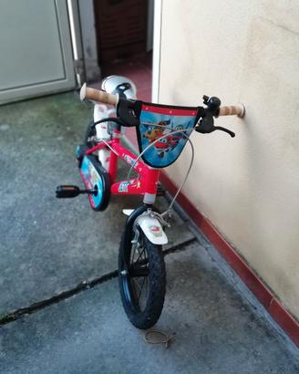 dispongo