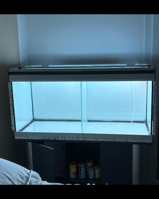 Acquario