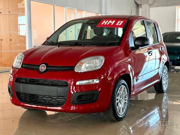 FIAT Panda Pandina Icon 5p - Hybrid 70cv S&S