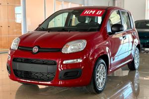 FIAT Panda Pandina Icon 5p - Hybrid 70cv S&S
