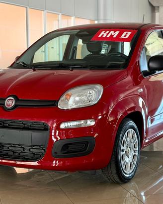 FIAT Panda Pandina Icon 5p - Hybrid 70cv S&S