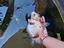 Immagine 5