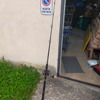 canna traina/jigging 