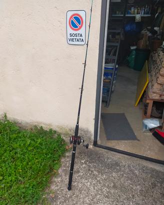 canna traina/jigging 