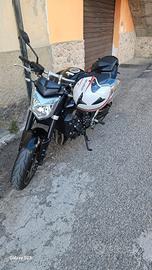  yamaha fz1 tenuta benissimo 