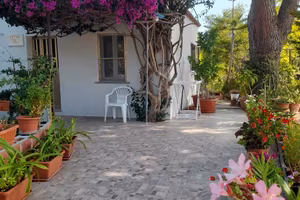 "   Casa Bouganville    " La Caletta 