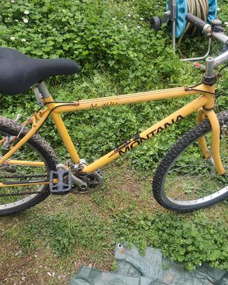 bici uomo