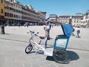 risciò bicicletta elettrica 