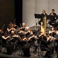 i Grandi Interpreti della Musica Classica