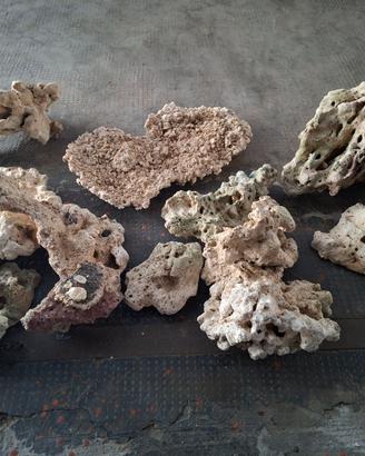 Rocce acquario marino