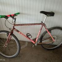 Bicicletta da ragazzo