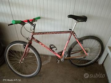 Bicicletta da ragazzo