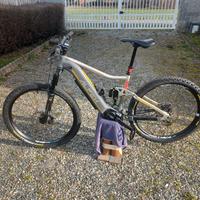 Ebike Alpek 