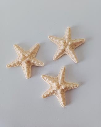 3 Stelle Marine in plastica
