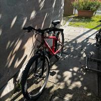 Bici rockrider  24’