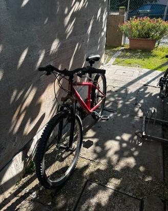Bici rockrider  24’