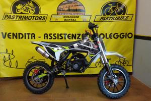 Minimoto e Pitbike Profive