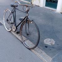 bicicletta freni a bacchetta Doniselli 