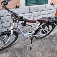 bicicletta elettrica 