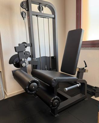 Leg exstension combinata leg Curl