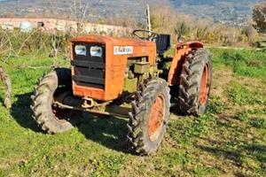 Trattore Carraro 504 DT