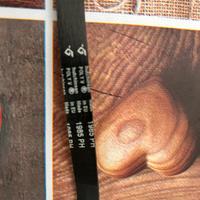 Cinghia Poly 1985H8 per tamburo ascigatrice LG