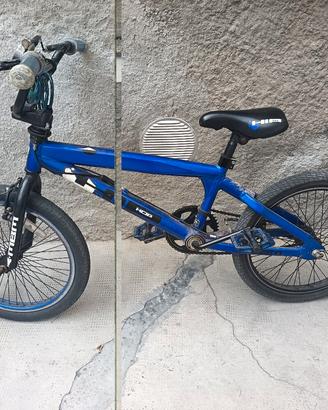 mbm da evoluzione
