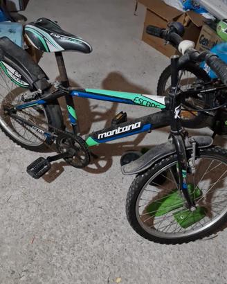 bicicletta bambino da 20''