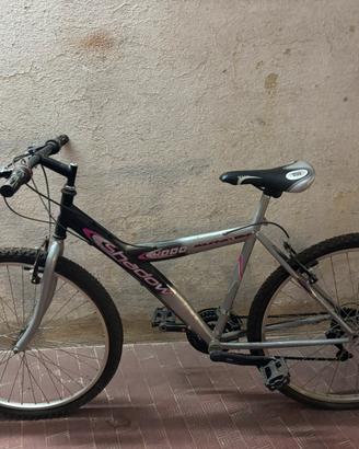 Mountain bike shadow 4000
