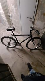 Bicicletta MTB