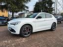 alfa-romeo-stelvio-2-2-turbodiesel-210-cv-at8-q4-v