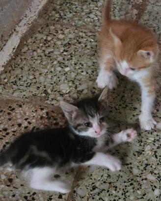 Fratellini giocatelloni