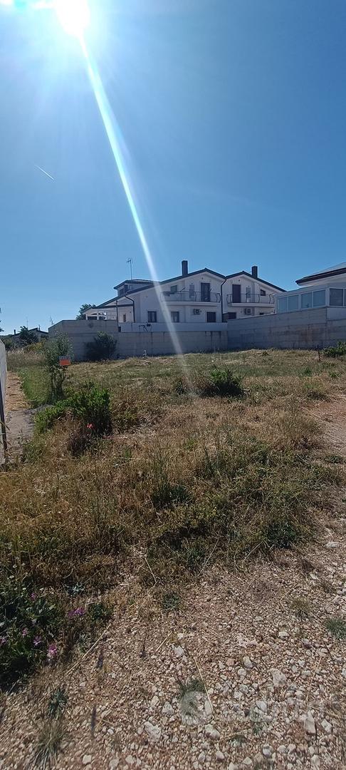 Terreno Edificabile - San Giovanni Rotondo - Vista 4