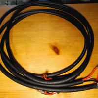 Cavi di potenza RICABLE U40 Lungh. 2.60 mt x 2