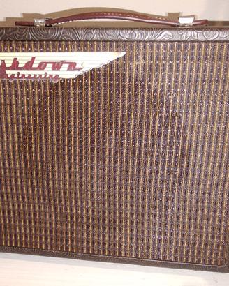 Ampli combo Ashdown due canali
