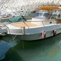 Capelli 27 WA + 2x150 hp Evinrude (2019)