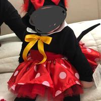 Vestito carnevale  Minnie