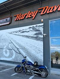 Harley Davidson V Rod 2008