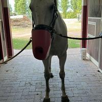 Maschera per aerosol MDI