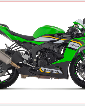 Terminale Arrow Pista Kawasaki ZX6-R 636 2024-2025