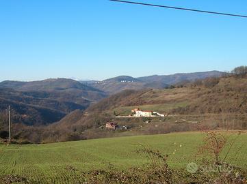 Casa in campagna in mezzo al verde