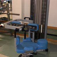 Rotary torso technogym
