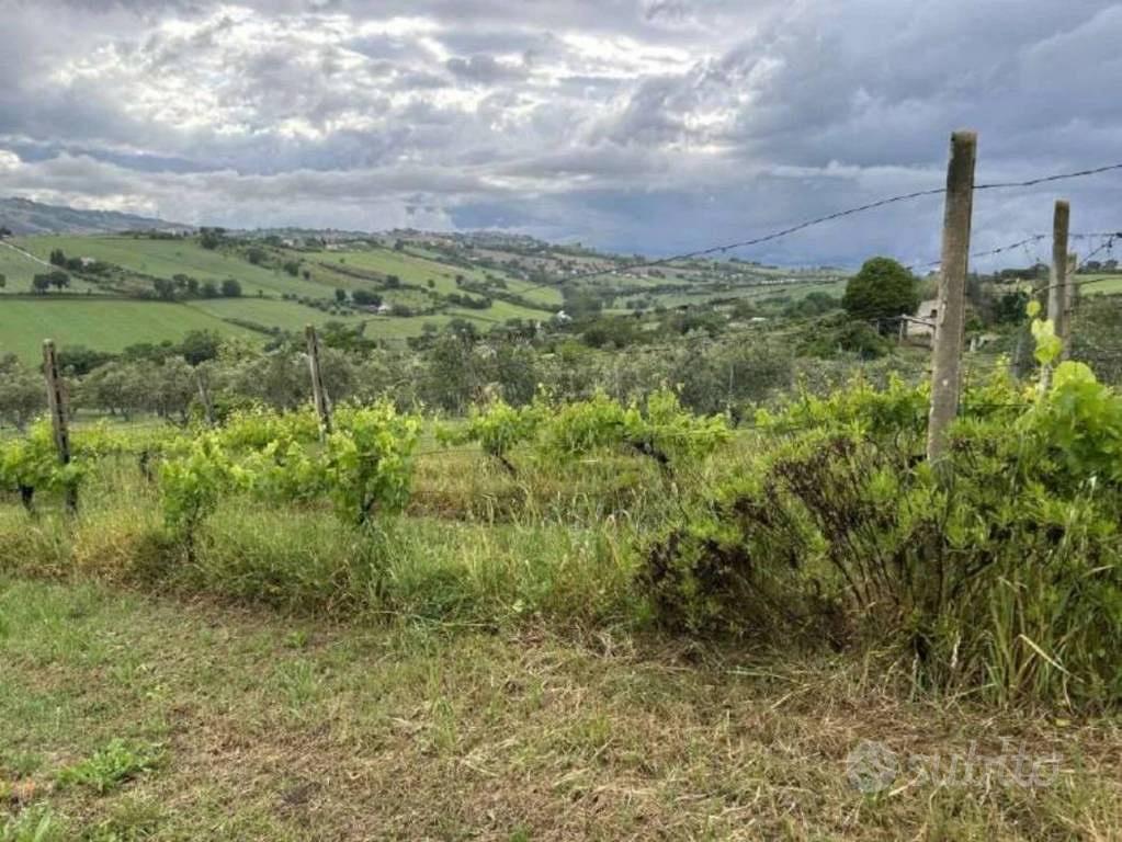 Immobile in asta di 21490 m² a Potenza Picena - Vista 2