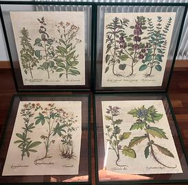 Quadri stampe antiche