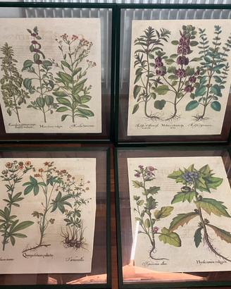 Quadri stampe antiche