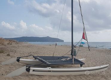 Hobie Cat 14 completo di carrello