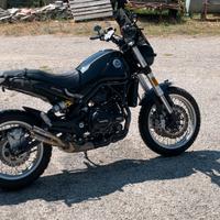 Benelli leoncino 500 trail