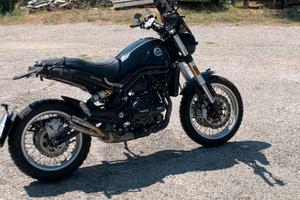 Benelli leoncino 500 trail