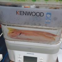 vaporiera Kenwood digitale 