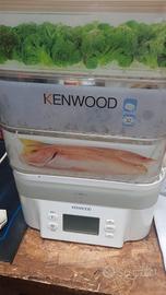 vaporiera Kenwood digitale 
